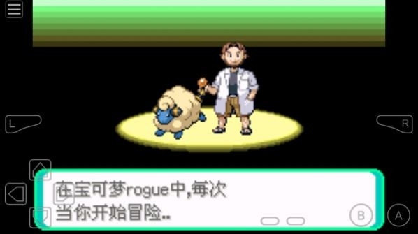 口袋妖怪rogue修改器图3