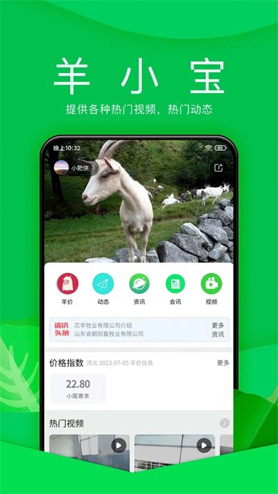 羊小宝最新版图3