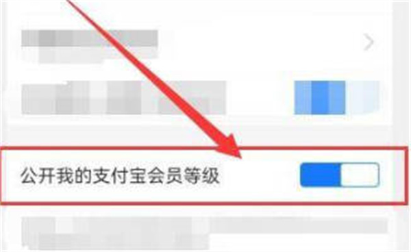 支付宝如何隐藏自己的会员等级图3