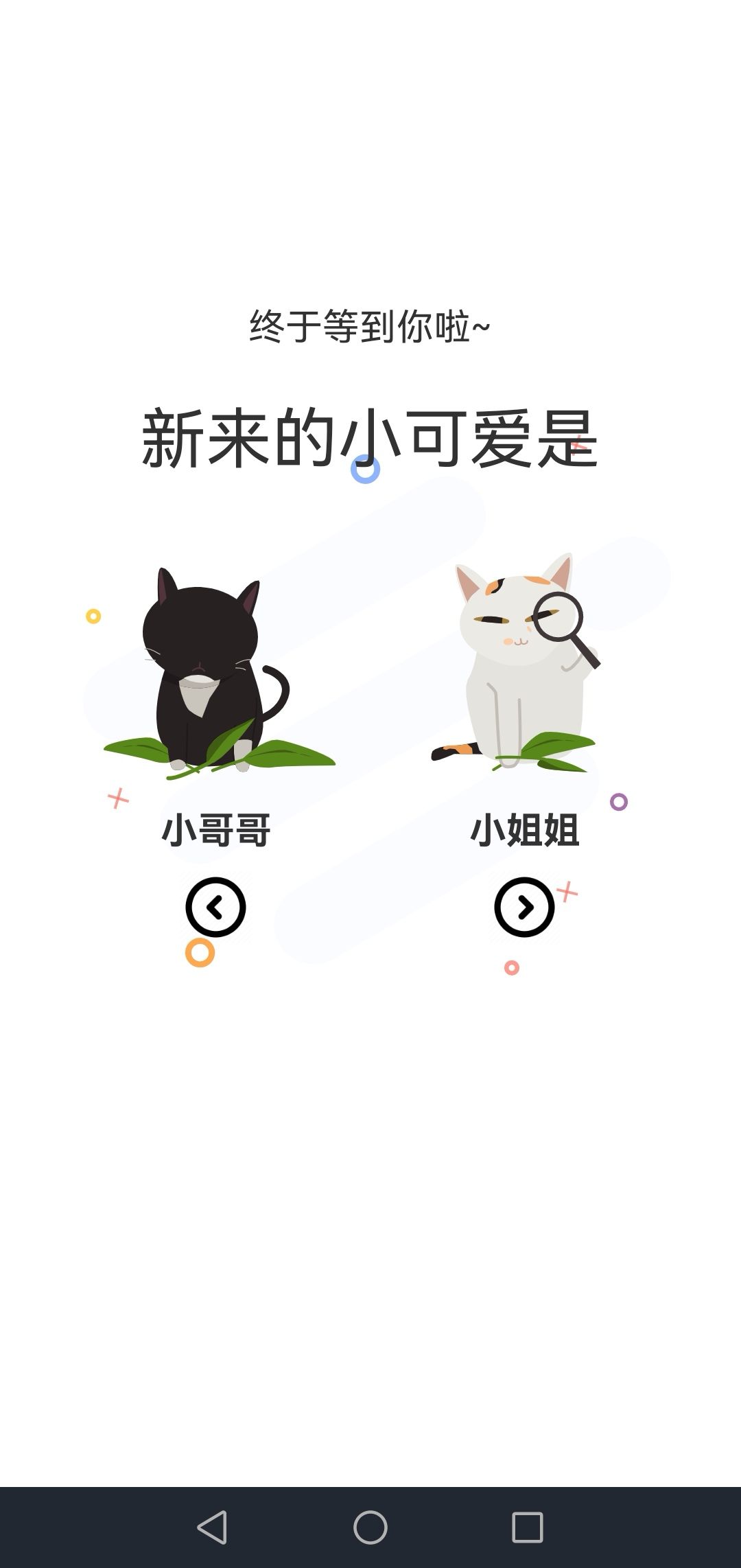 喵上二次元最新版图1