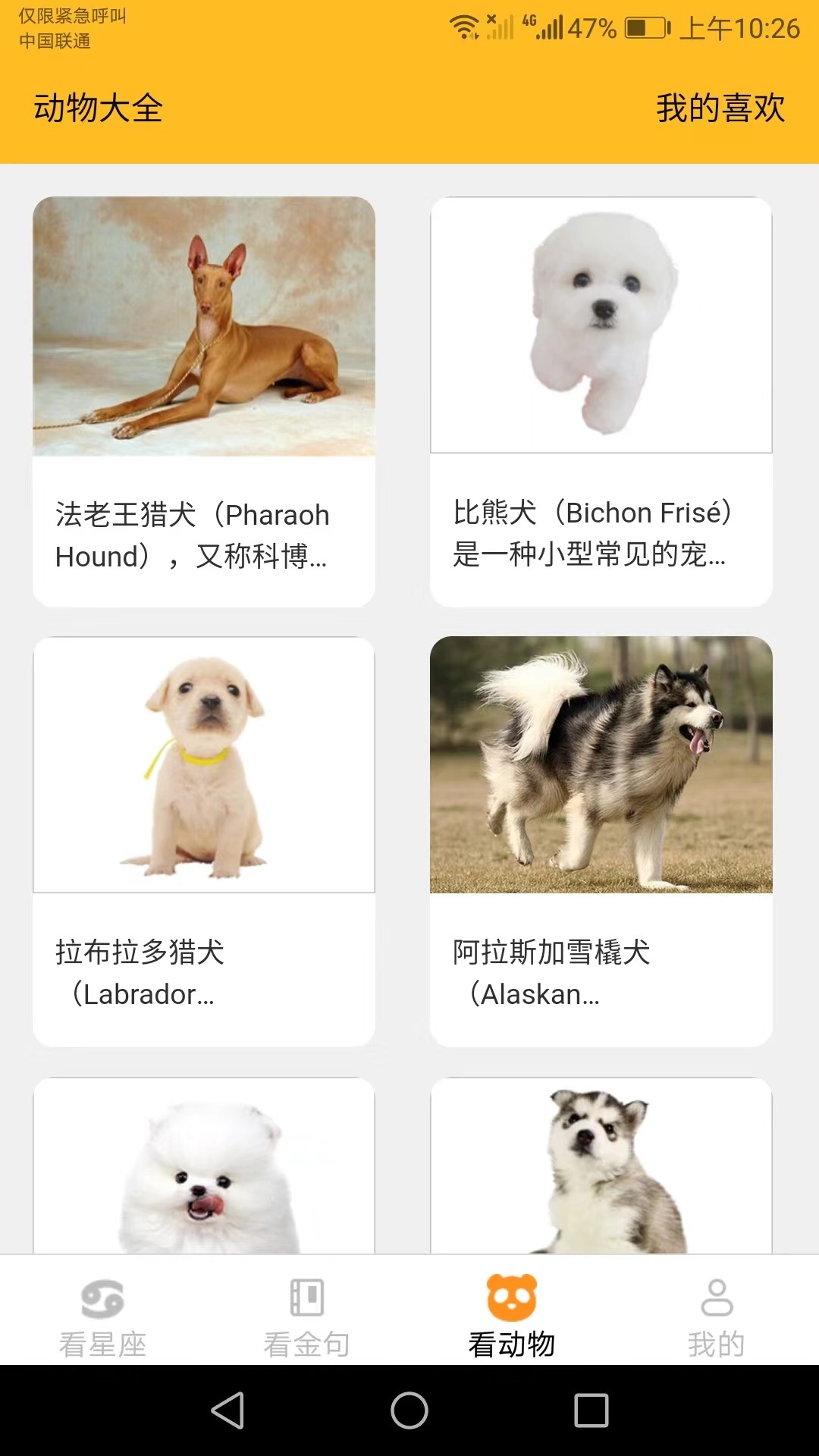 口袋乐看最新版截图4