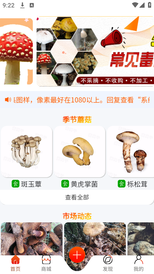 菌窝子拍照识菌官方版图2