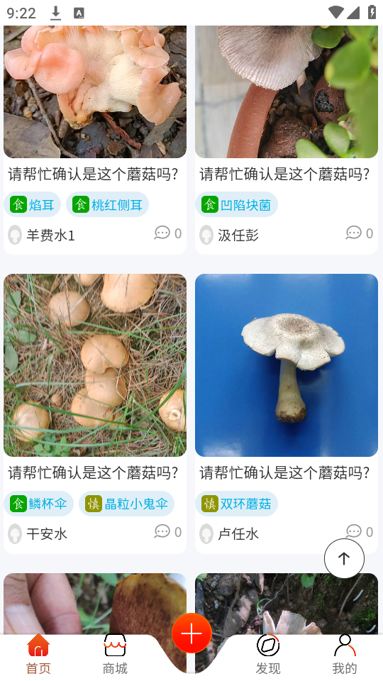 菌窝子拍照识菌官方版图1