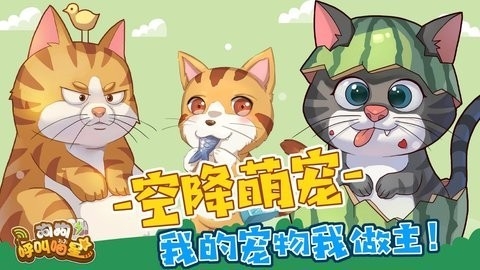 狗狗呼叫喵星安卓最新版图2