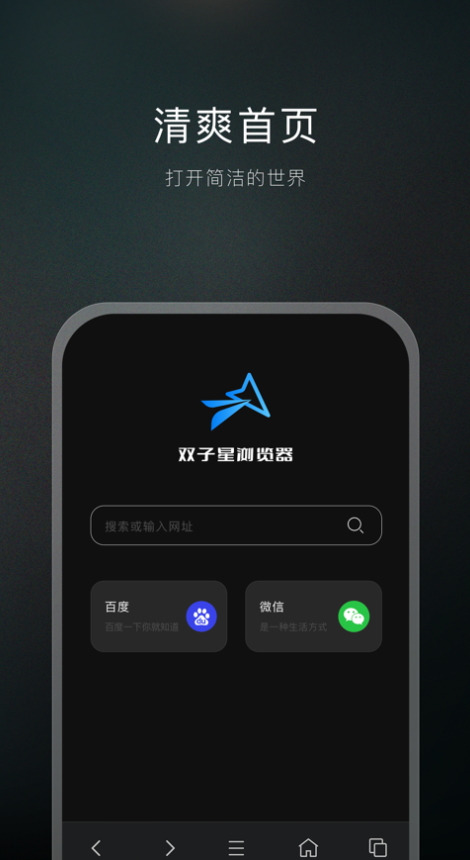 双子星浏览器安卓版图3
