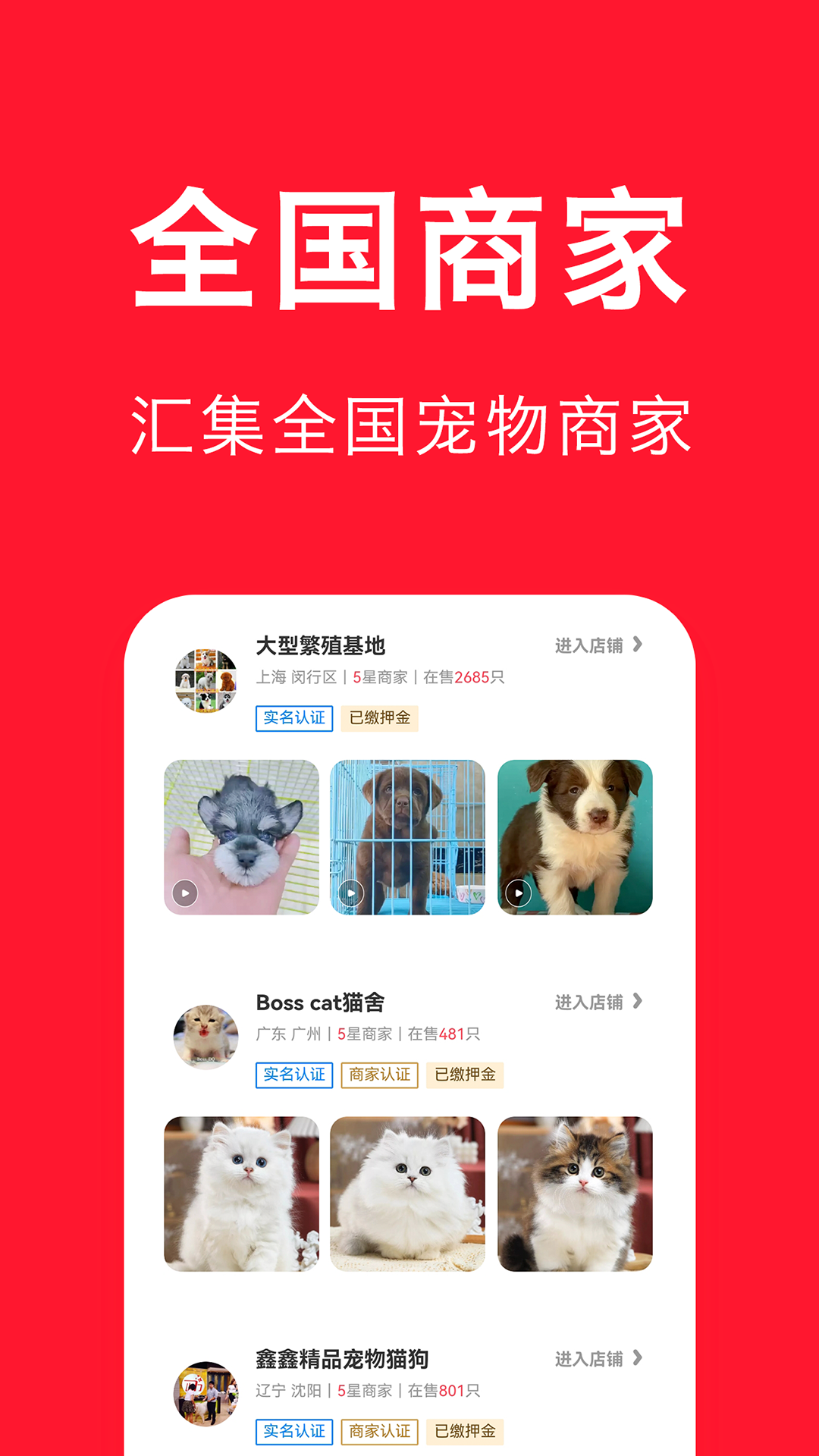 宠物宝最新版在线图2