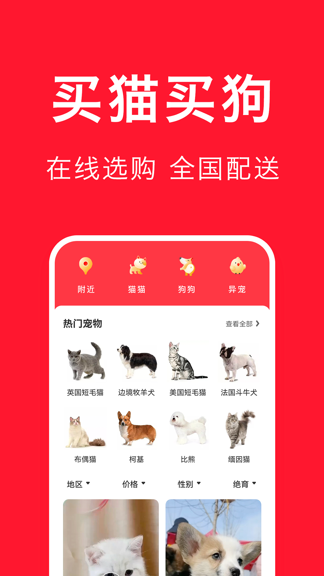 宠物宝最新版在线图3