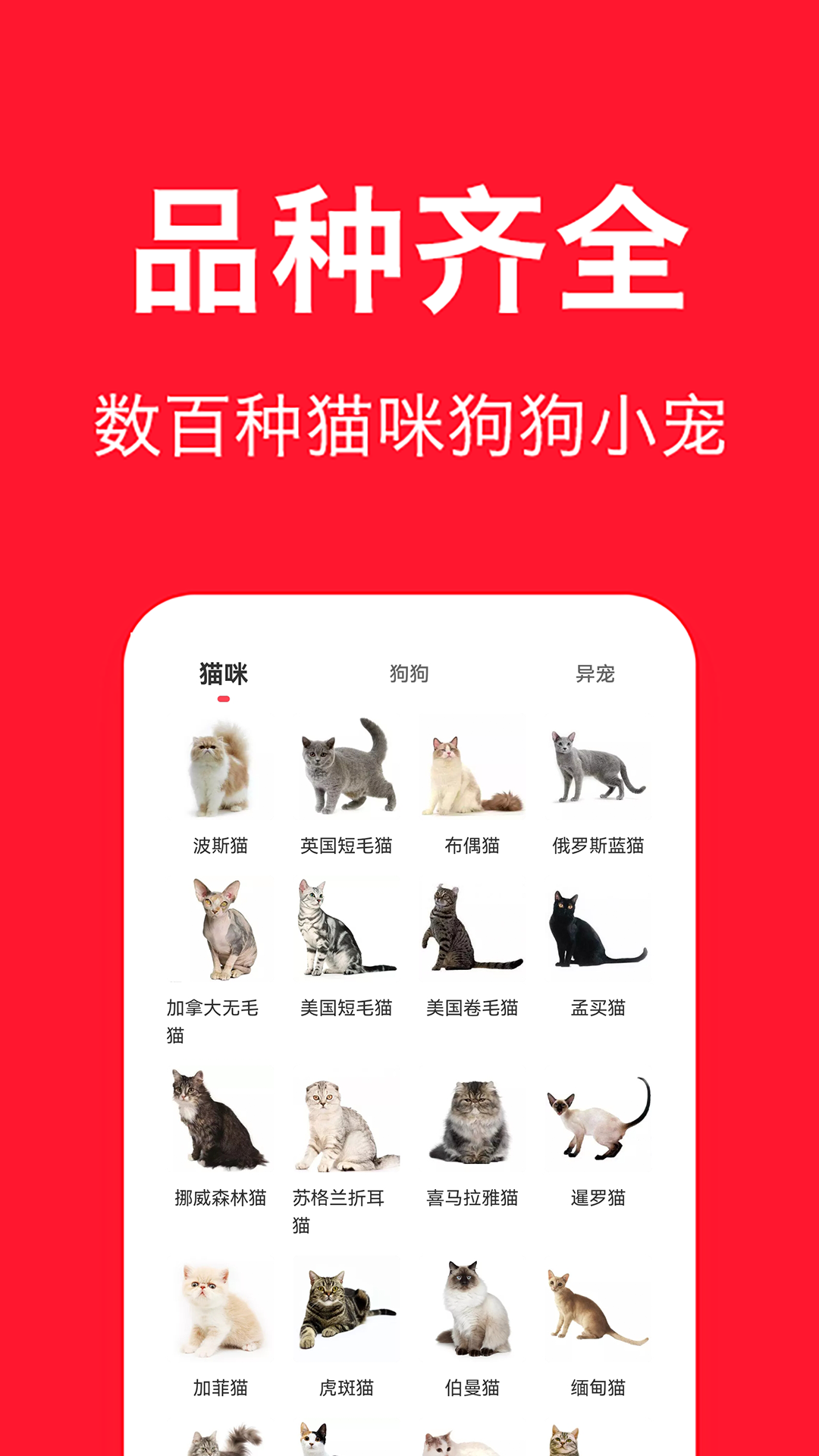 宠物宝最新版在线图1