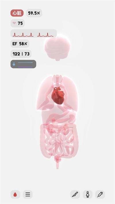 生命人体模拟器官方版图3
