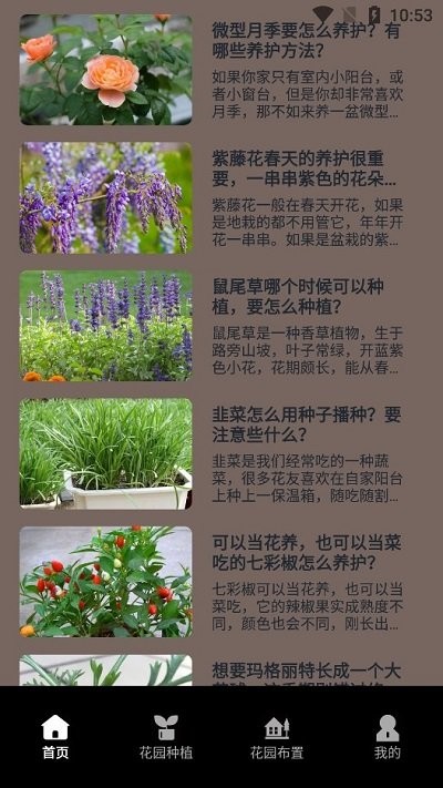 花草录植物识别安卓版图2