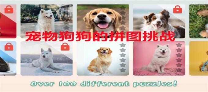 宠物狗狗的拼图挑战最新版图3