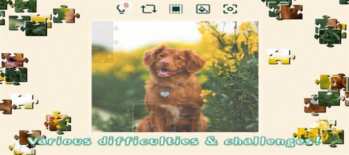 宠物狗狗的拼图挑战最新版图2