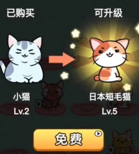 猫咪趣味合成最新版截图5