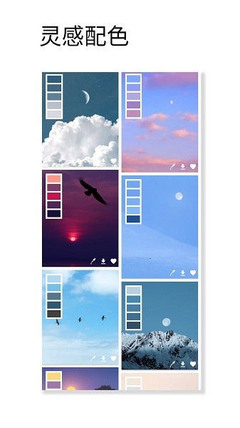 观色配色2024最新版截图1