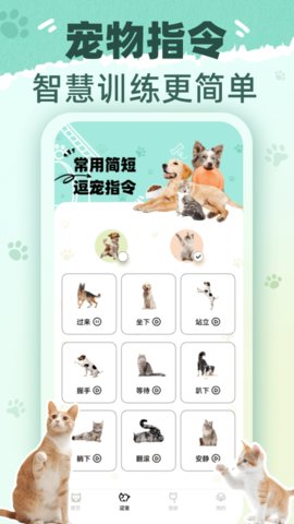 猫狗翻译君安卓版图2