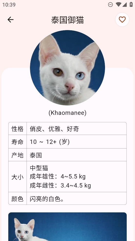 猫品种大全安卓最新版图3