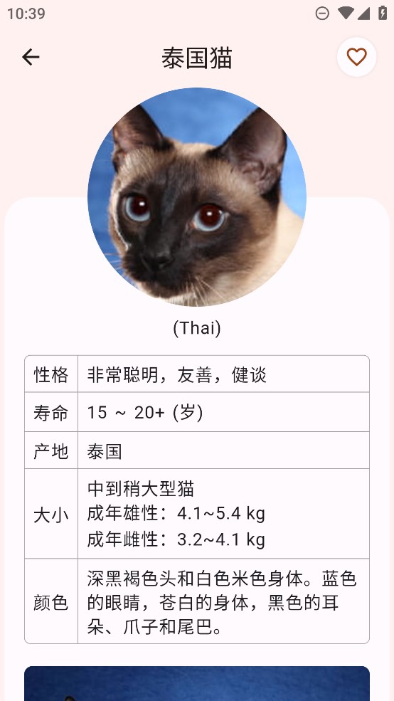 猫品种大全安卓最新版图1