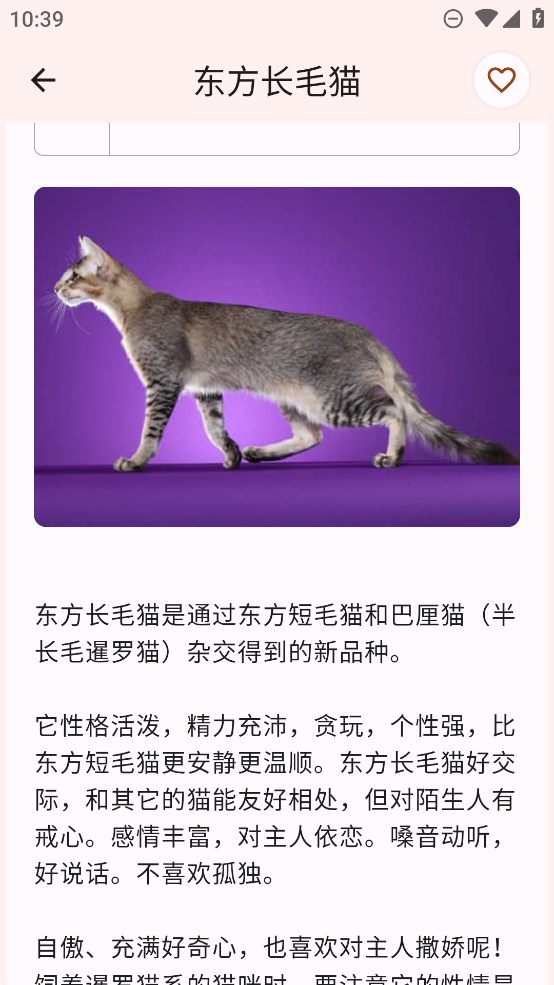 猫品种大全安卓最新版图2