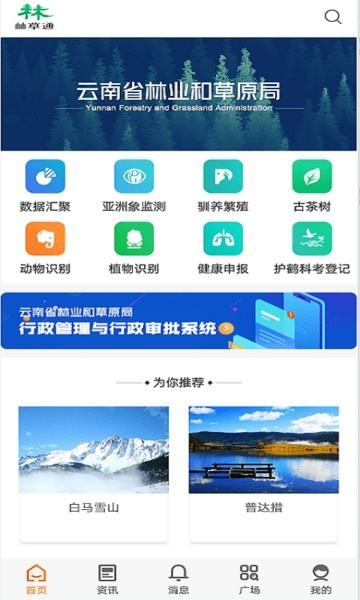 林草通最新版截图3