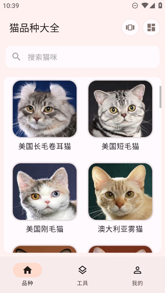 猫品种大全安卓最新版截图4